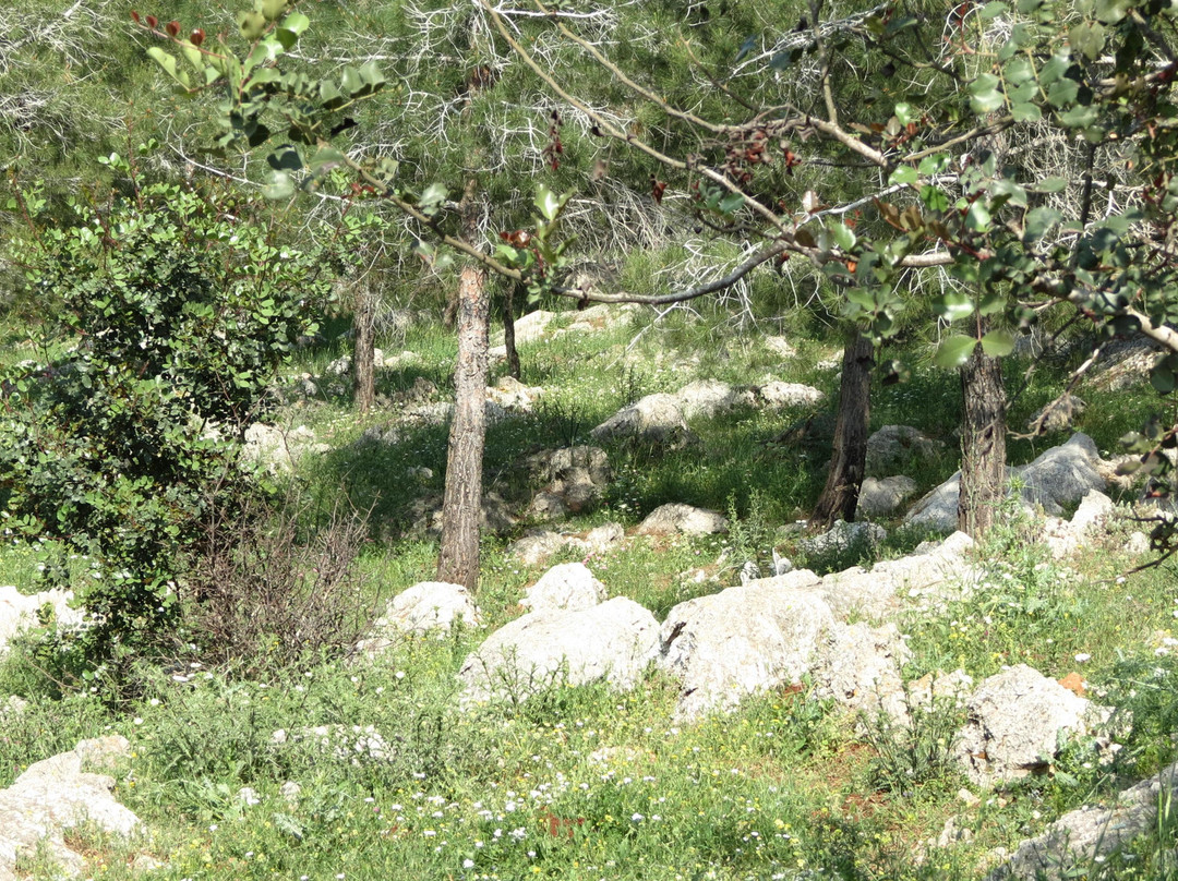 Mt. of Precipice Lookout Point-拿撒勒必去景点