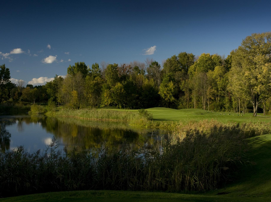 Cherry Creek Golf Club景点图片