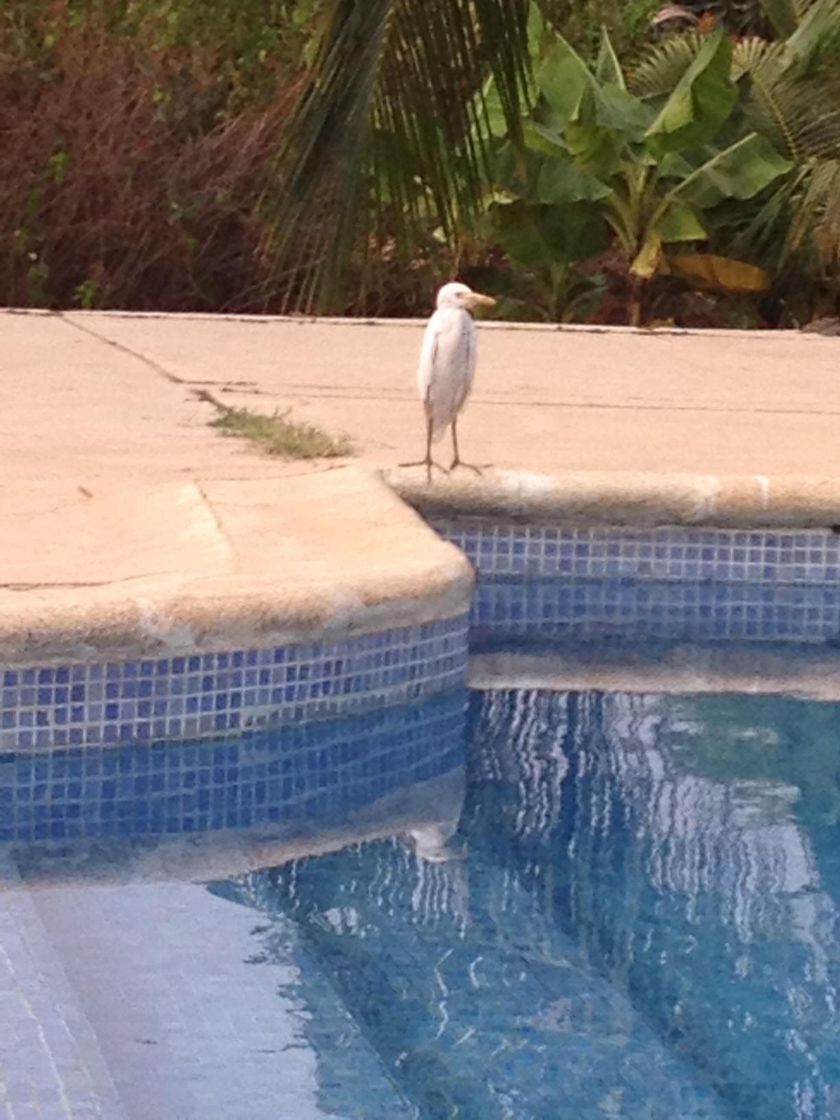 Hotel Oasis Oriental-客卧