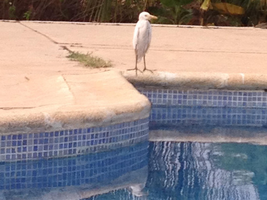 Tambacounda酒店住宿-Hotel Oasis Oriental