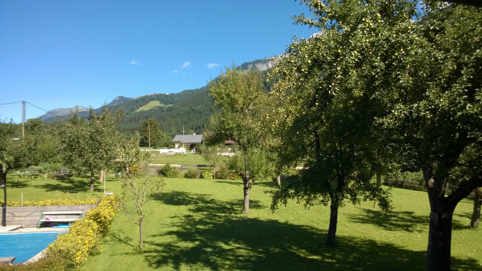 Pension Zum Schulmeister-泳池