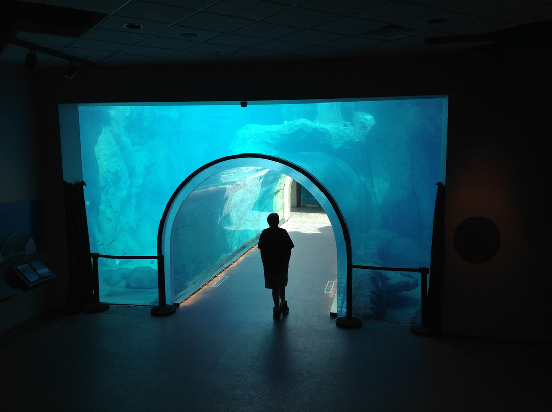 Assiniboine Park Zoo-温尼伯必去景点