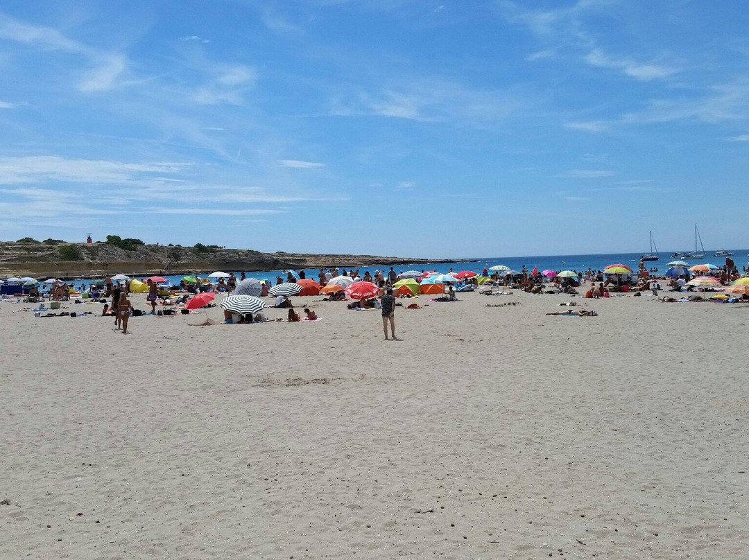 Plage du Verdon景点图片