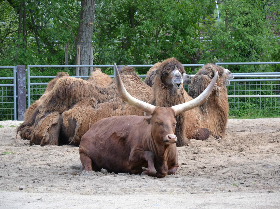 Tierpark Aachen景点图片