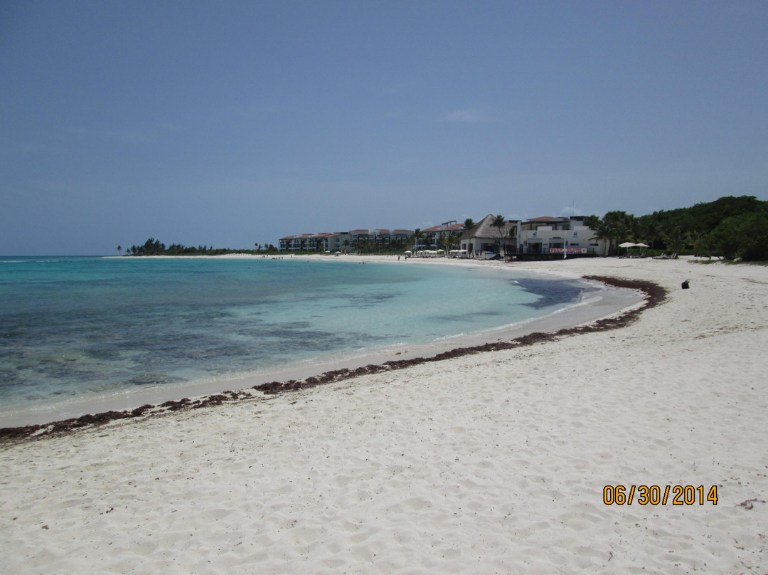 Playa Boardsports Kiteboarding & Paddleboarding School-普拉亚德尔卡曼必去景点