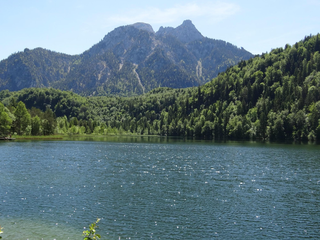 巴伐利亚新天鹅堡观光车之旅-慕尼黑必去景点
