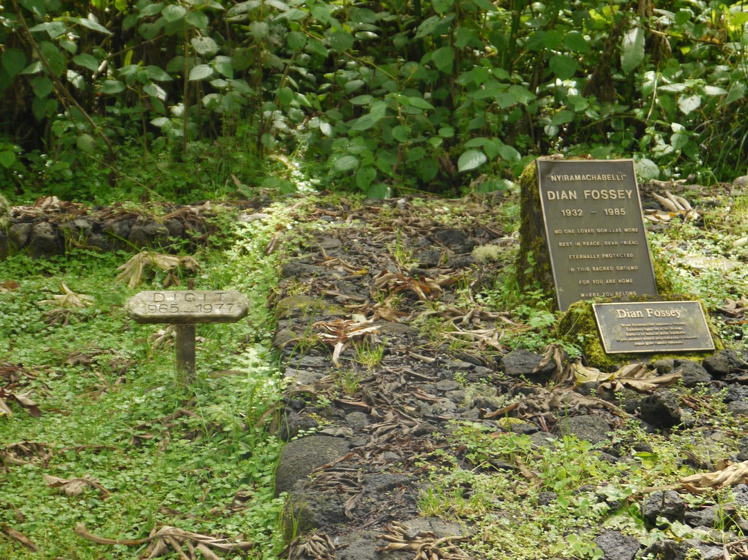 Karisoke Research Center - Dian Fossey Camp景点图片