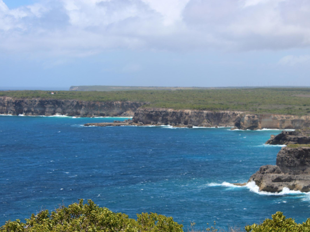 Pointe de la Grande Vigie-Anse-Bertrand必去景点