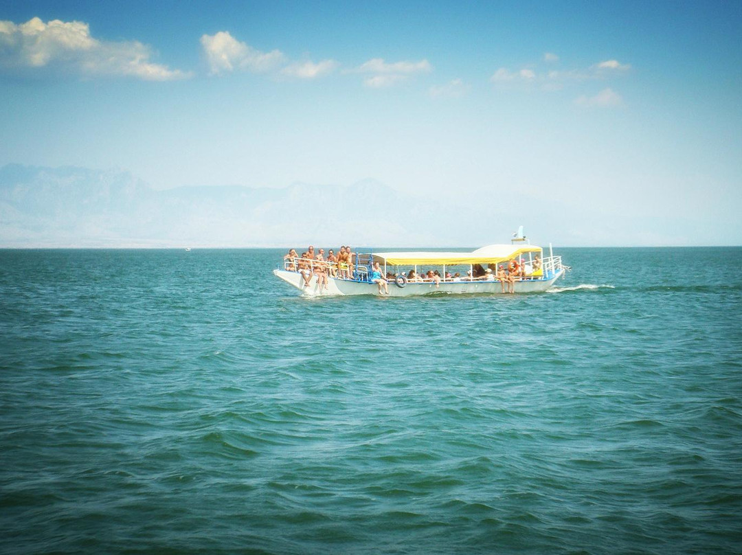 Kormoran Cruising景点图片