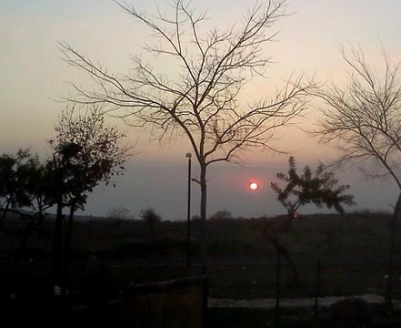 Biktotliat cabins主图