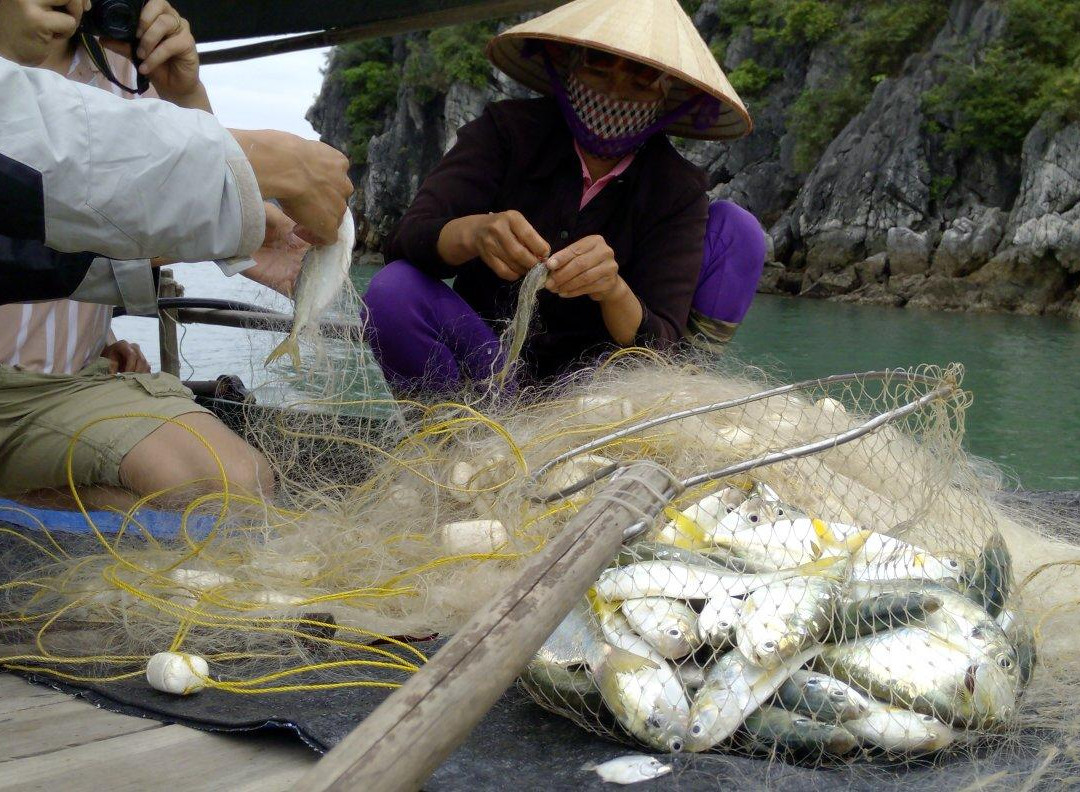 Gray Line Cruise-下龙湾必去景点