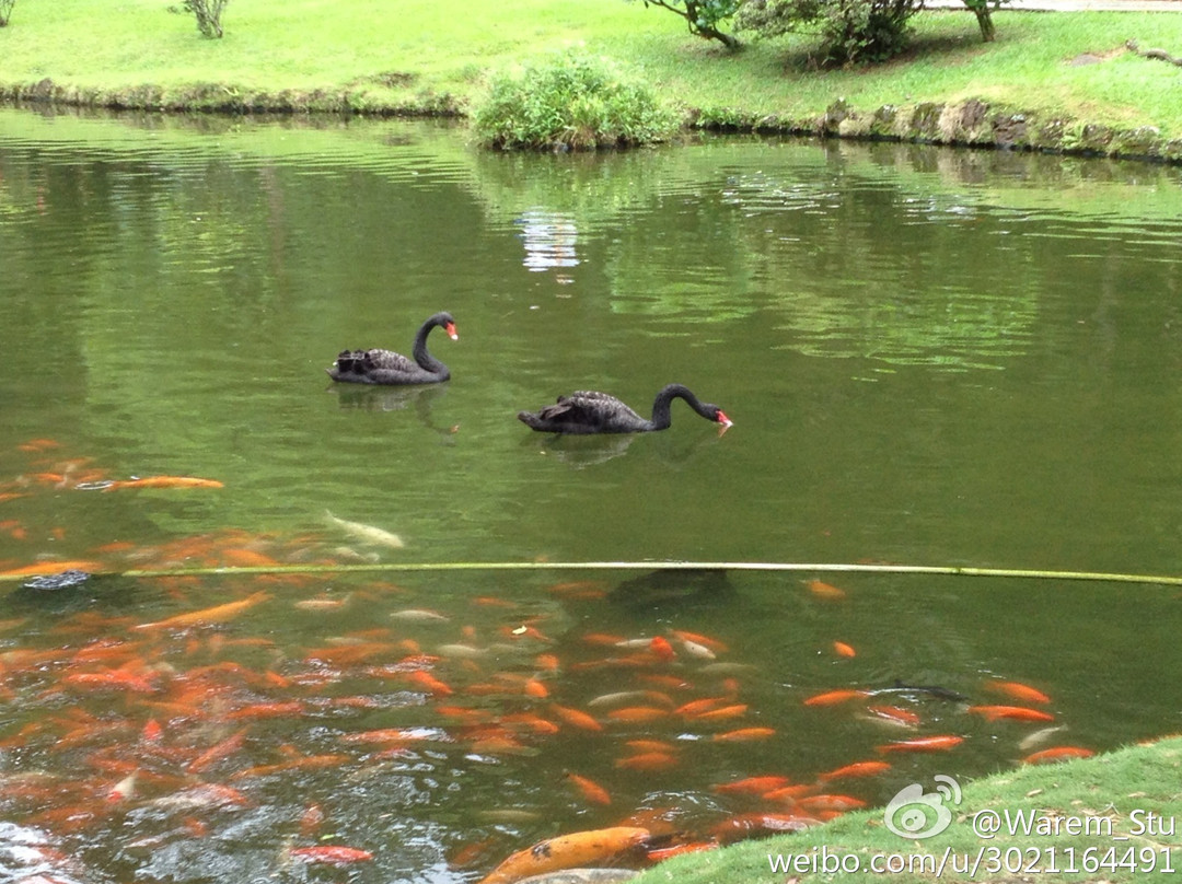 山谷神庙-卡内奥赫必去景点
