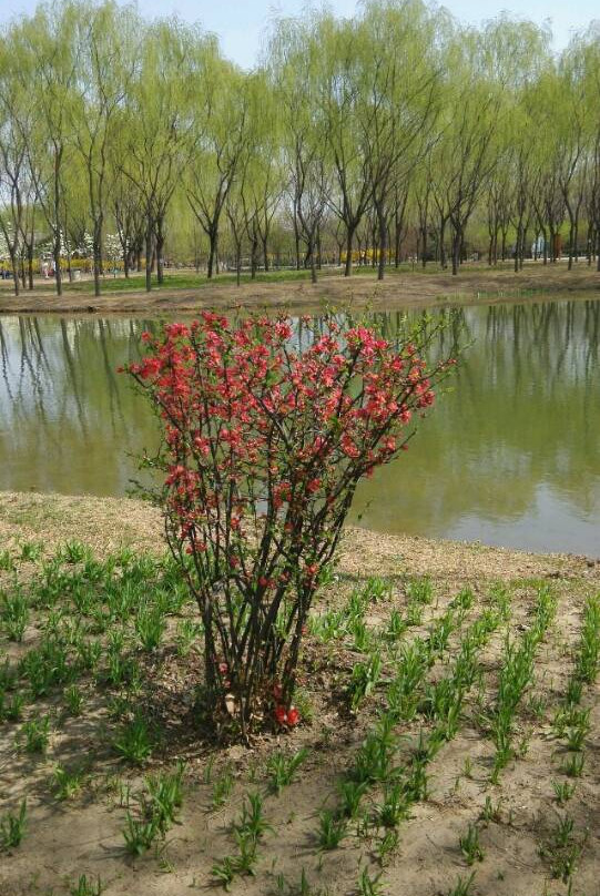 古塔公园-锦州市必去景点