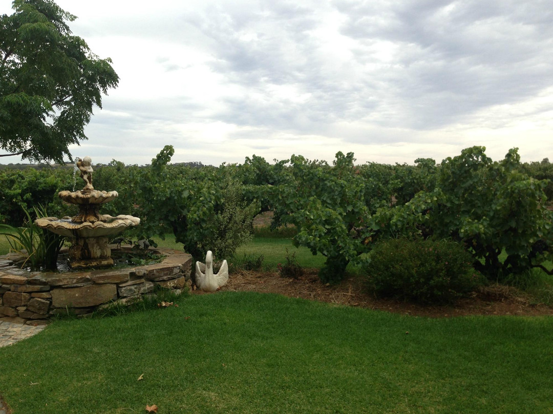 Premium Wine Tours by Scott Ninnis - Private Tours-阿德莱德必去景点