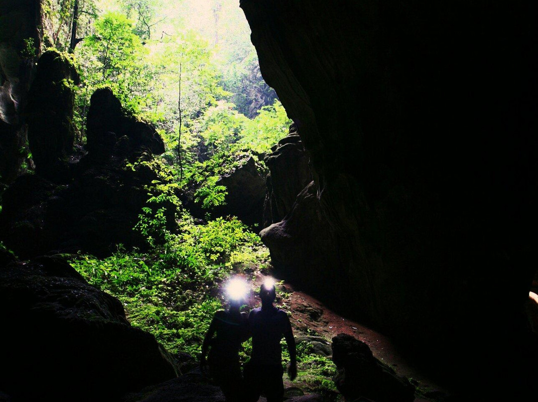 Kota Gelanggi Caves景点图片