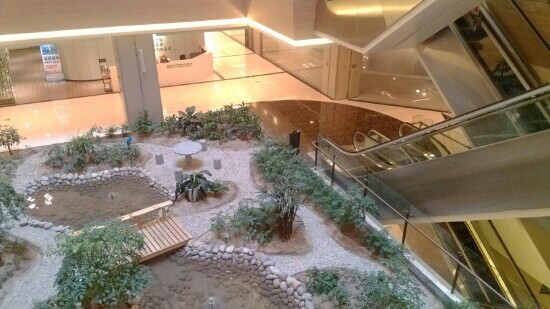 红星美凯龙(上海浦东店)-上海市必去景点