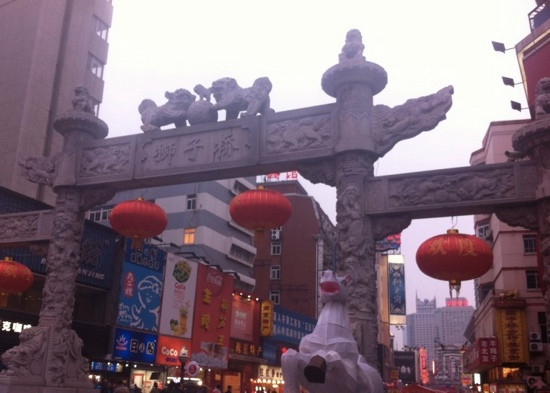 南京狮子桥步行街景点图片
