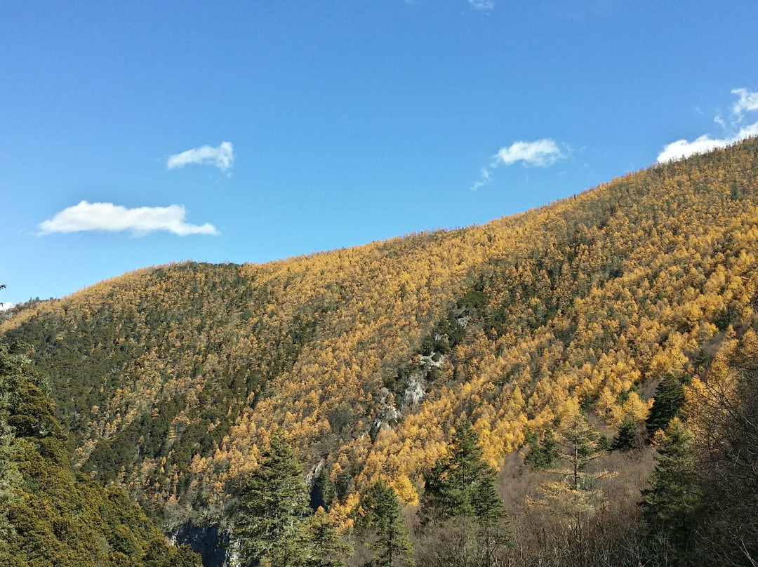 碧塔海自然保护区-香格里拉县必去景点