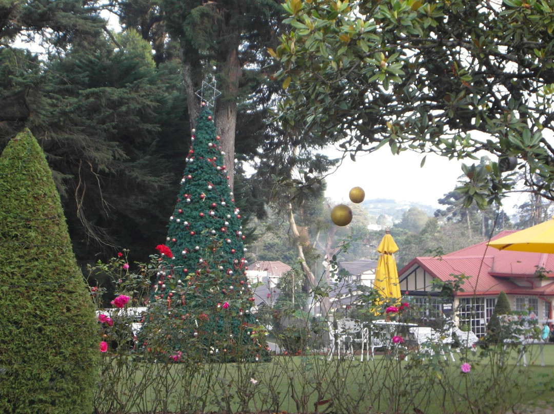 Off 2 Sri Lanka Private Tours景点图片