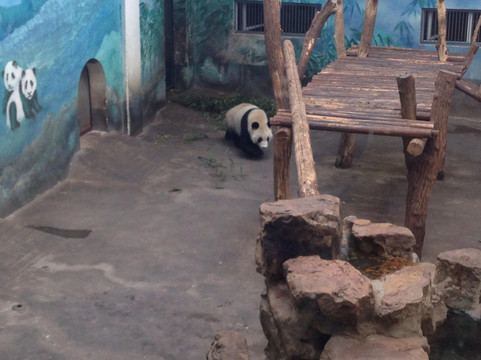 红山森林动物园-南京市必去景点