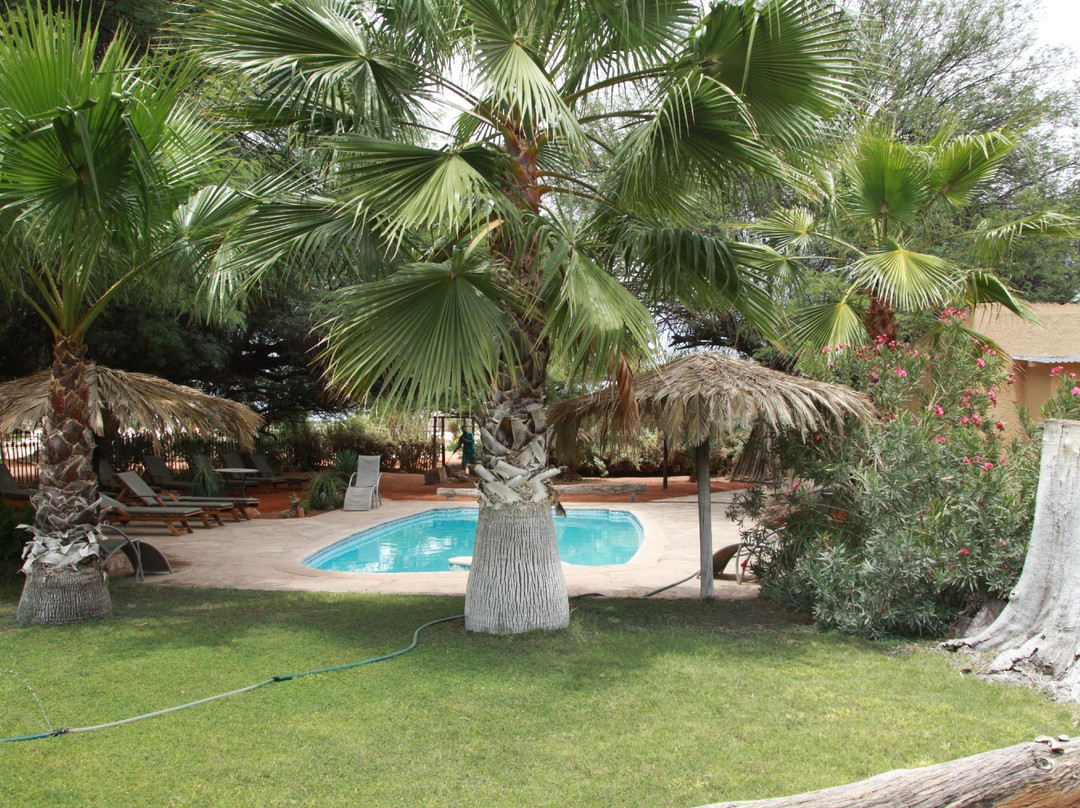 Bitterwasser Lodge & Flying Centre-温德和克必去景点