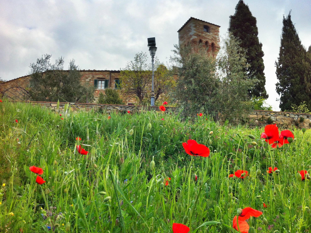 San Donato in Poggio旅游攻略图片