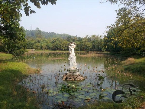 大夫山森林公园-广州市必去景点