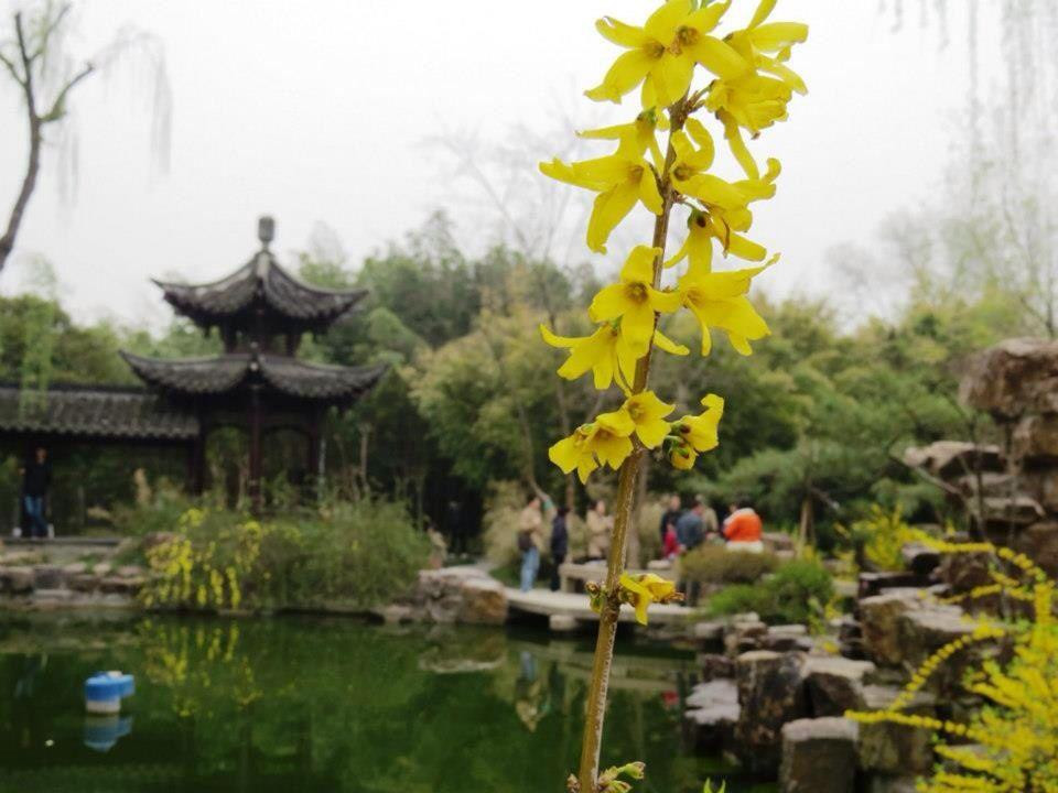 个园-扬州市必去景点