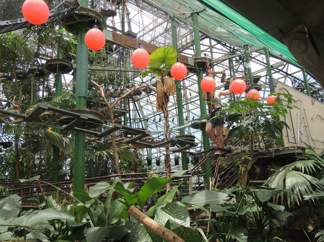 Cairns ZOOM and Wildlife Dome-凯恩斯必去景点