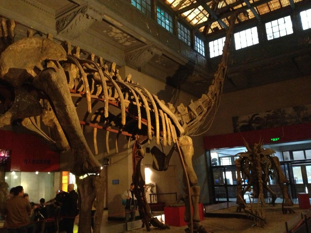 上海自然博物馆(静安新馆)-上海市必去景点