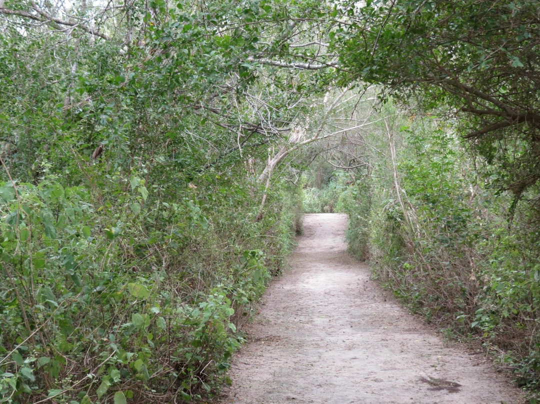 Frontera Audubon-Weslaco必去景点