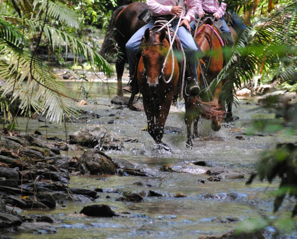 Daintree Station-Whyanbeel必去景点
