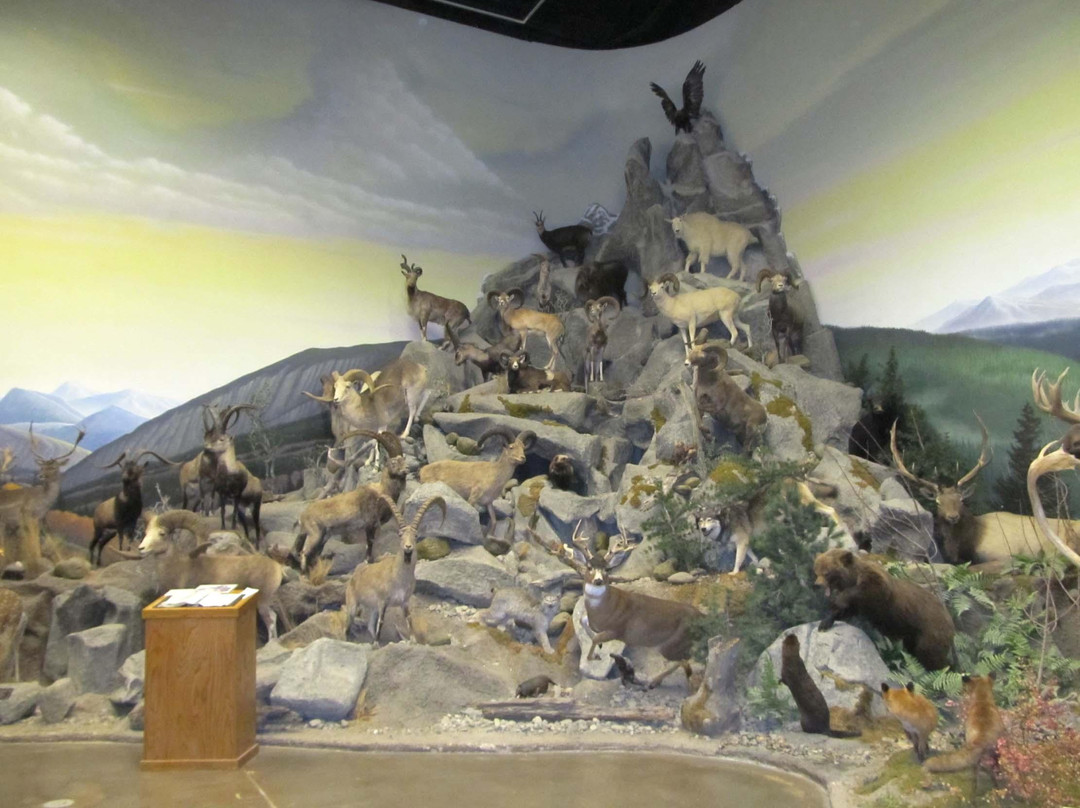 Northeastern Nevada Museum-埃尔科必去景点