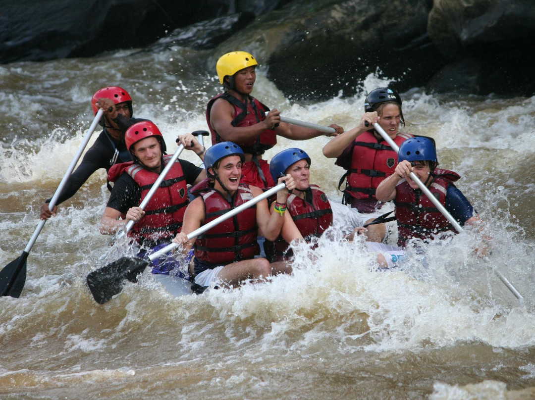 Wavehunterasia-亚庇必去景点