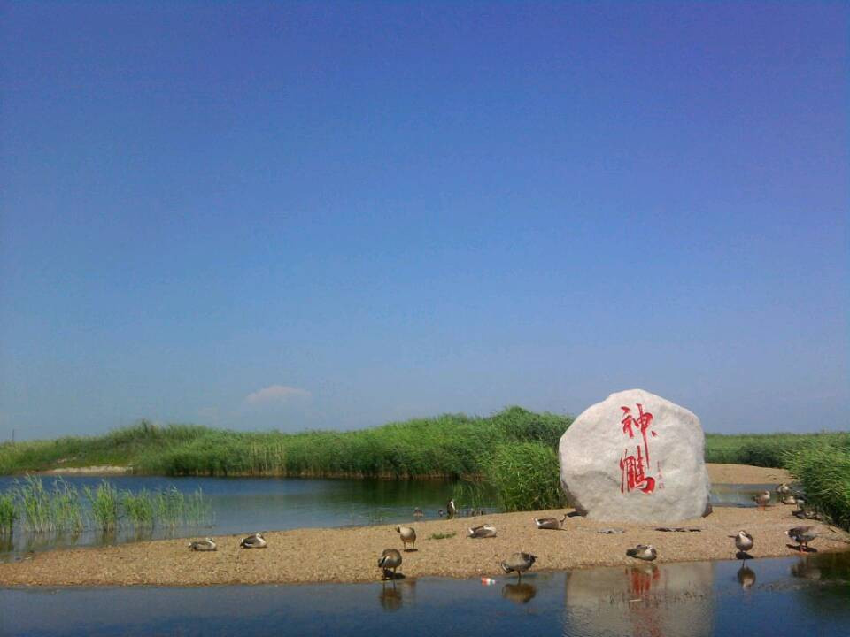 扎龙保护区-齐齐哈尔市必去景点
