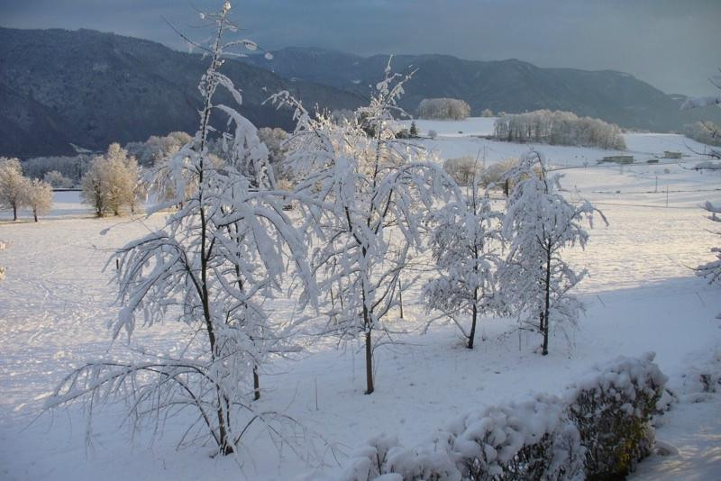 Chambres d'Hotes Gaia主图