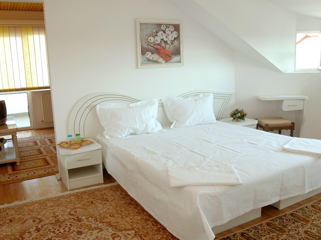 Douazeci si Trei August酒店住宿-Pensiunea Nina