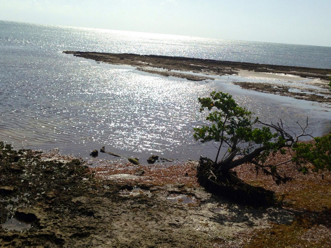 Bear Cut-比斯坎湾必去景点