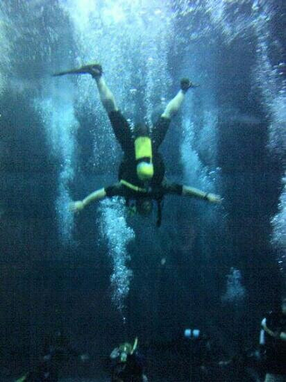 Orca Scuba Diving Academy景点图片