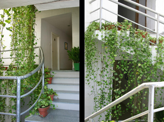 Palm Beach Hotel & Resort