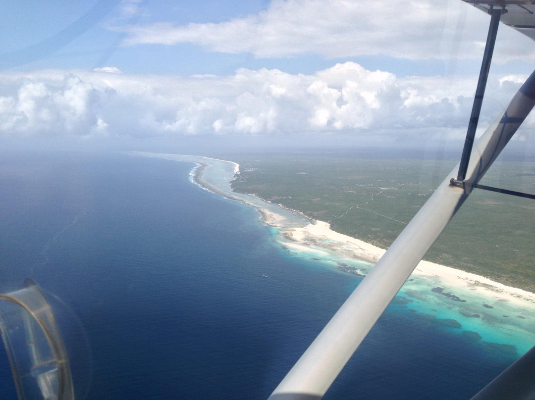 ZRP Aviator-桑给巴尔岛必去景点
