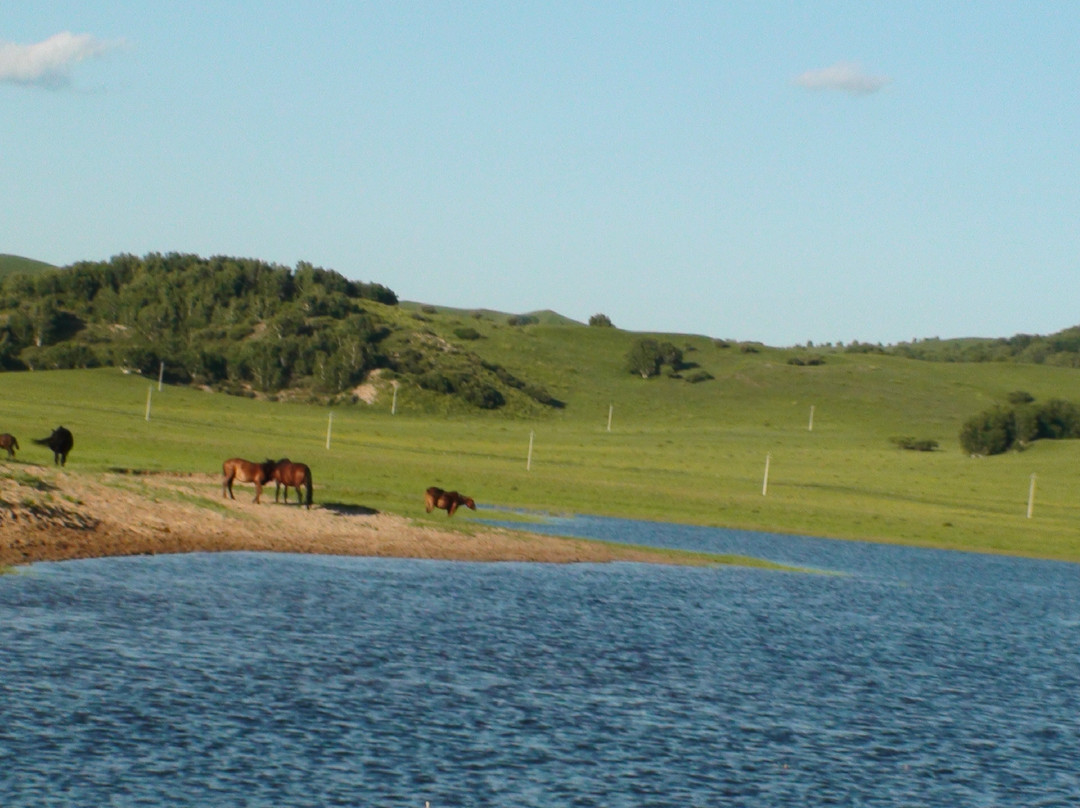 锡林郭勒草原自然保护区-锡林浩特市必去景点