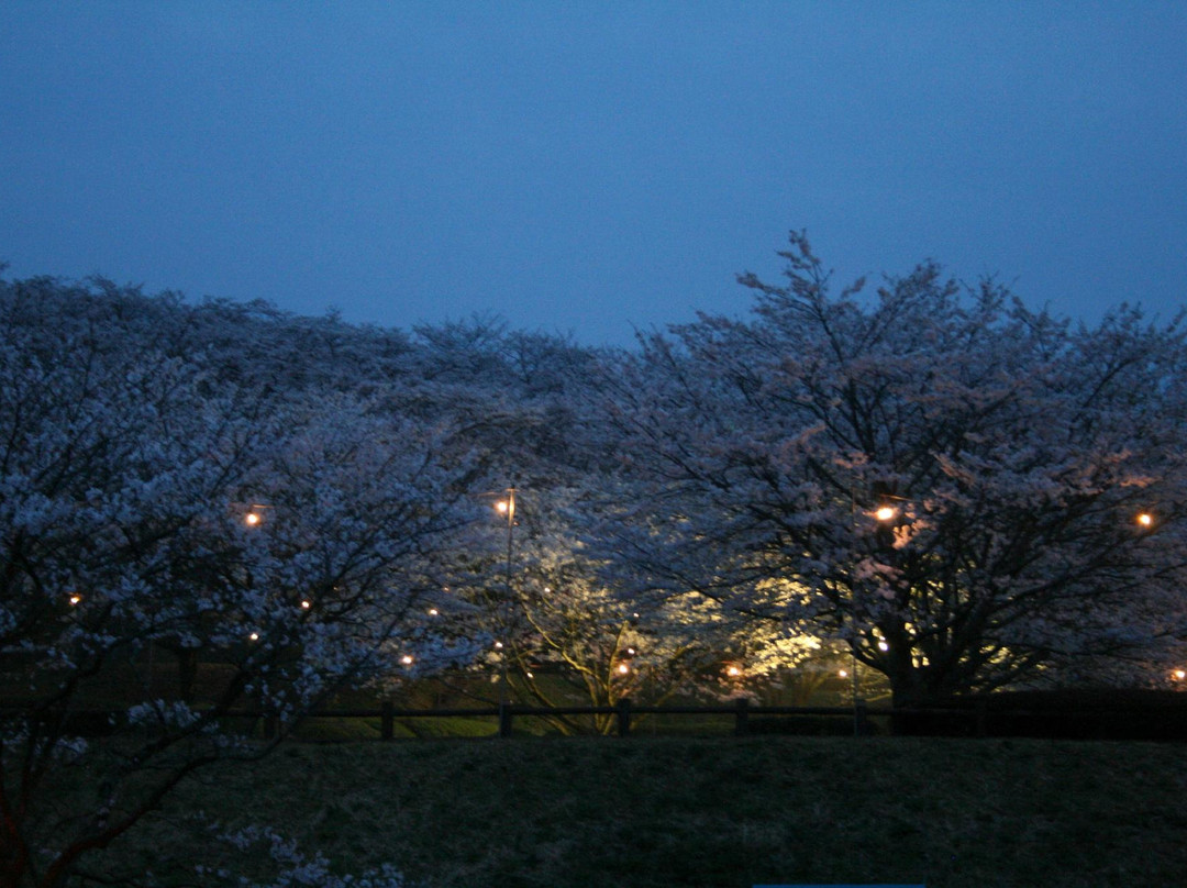 Kamiyone Park-三股町必去景点