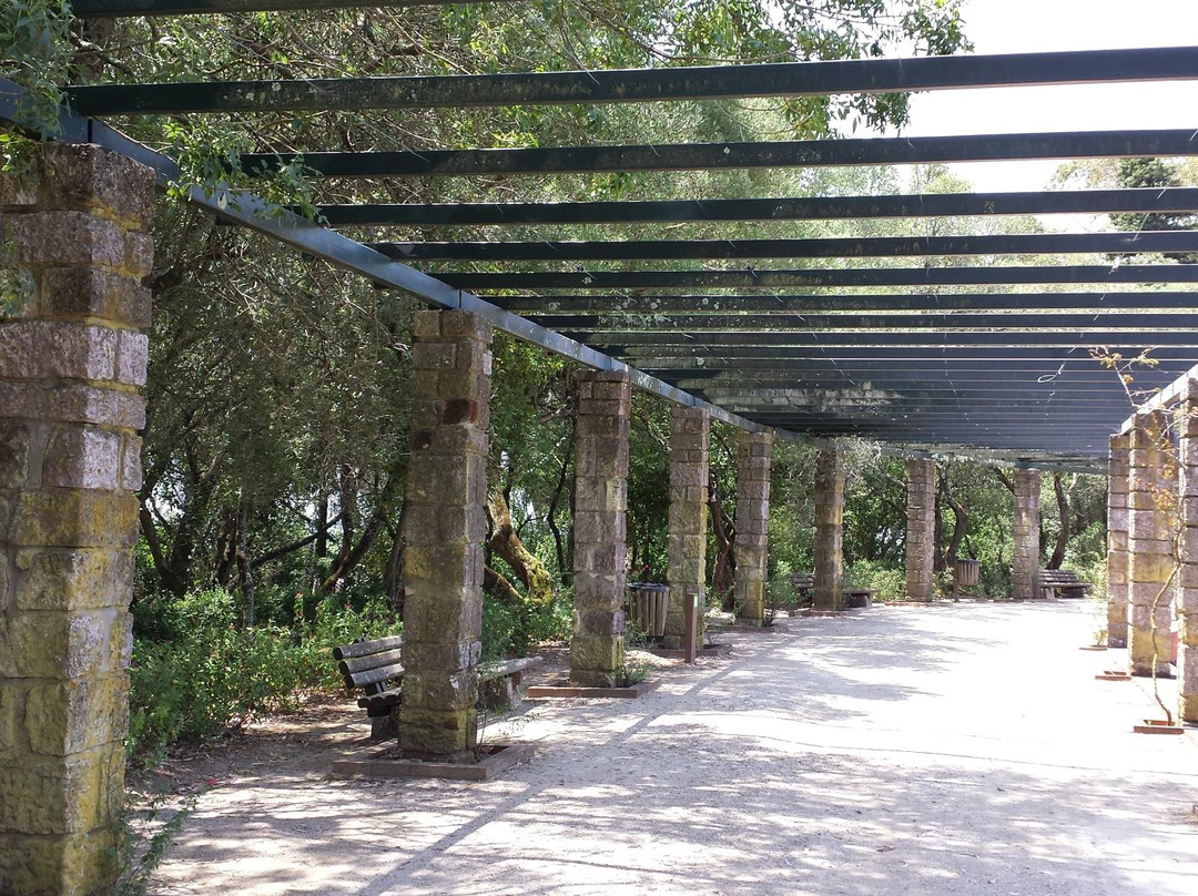 Parque Florestal De Monsanto-里斯本必去景点