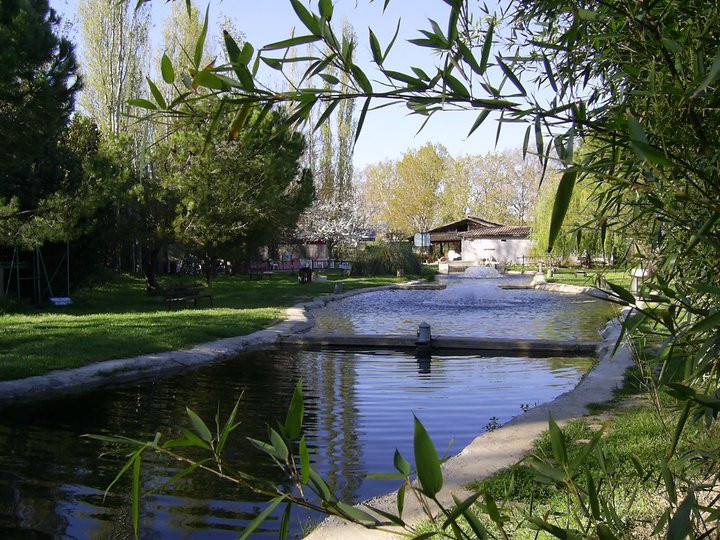 La Pisciculture du Pont de Caylus景点图片