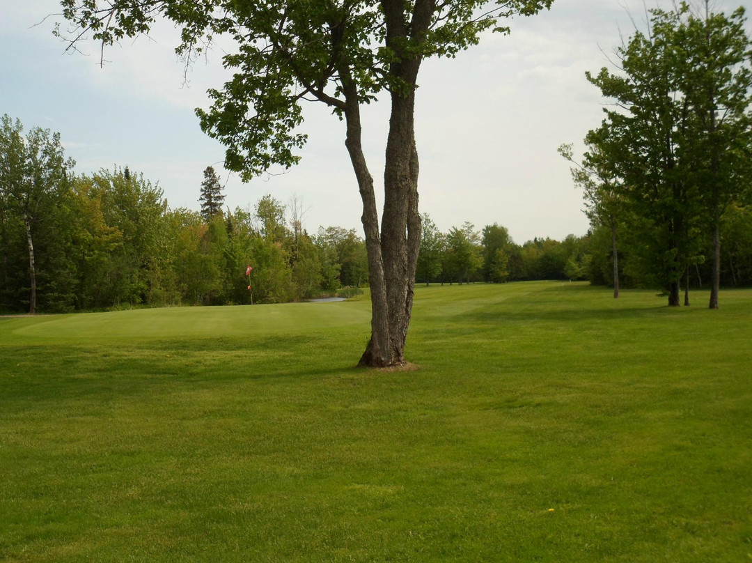 Tanglewood Marsh Golf Course景点图片