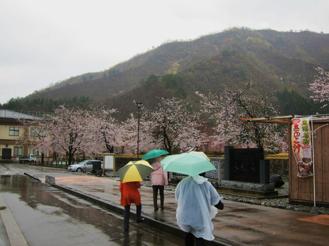 Zenibuchi Park-南鱼沼市必去景点