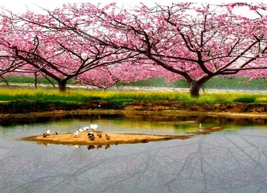 桃花源-桃源县必去景点