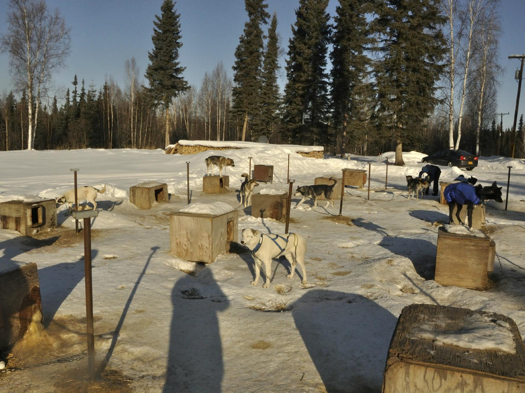 Just Short of Magic-费尔班克斯必去景点