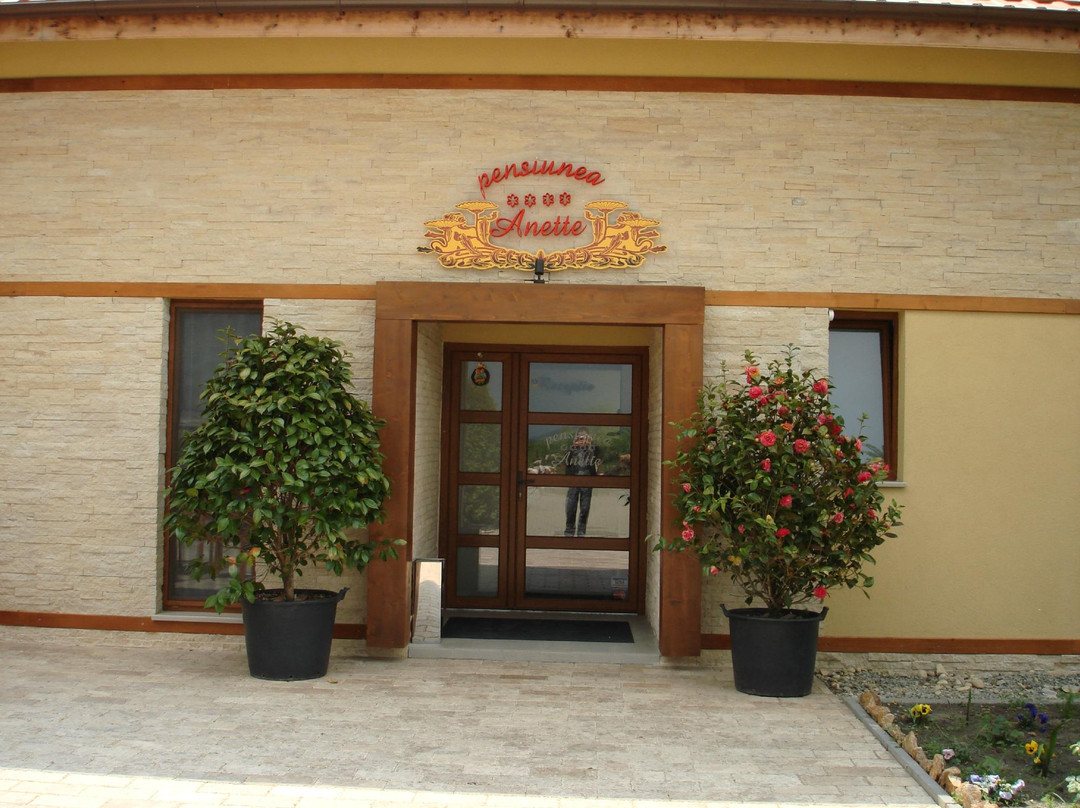 Covaci酒店住宿-Anette Resort